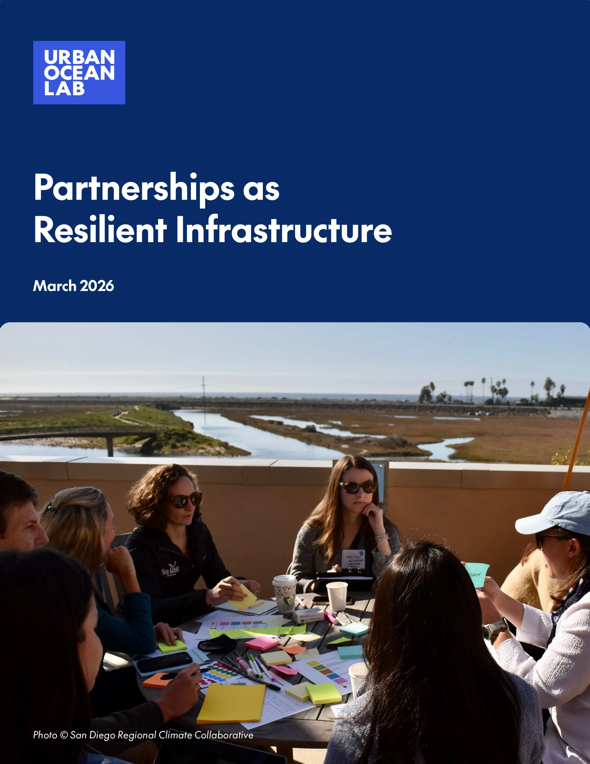 Partnerships as Resilient Infrastructure