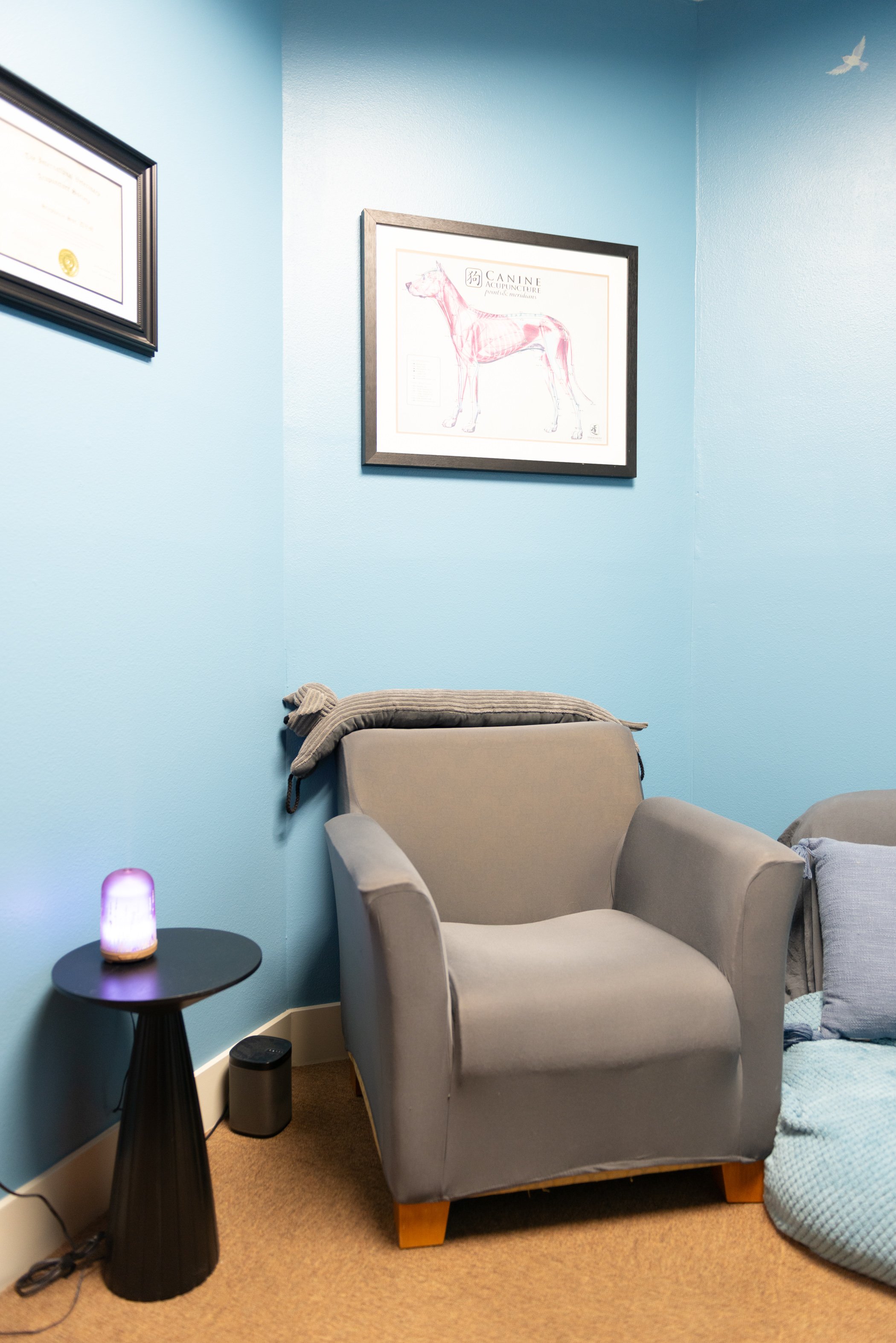 Four Paws Wellness_April 2025-47.jpg