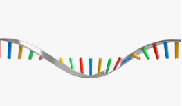 SELF AMPLIFYING RNA VACCINES FOR PETS