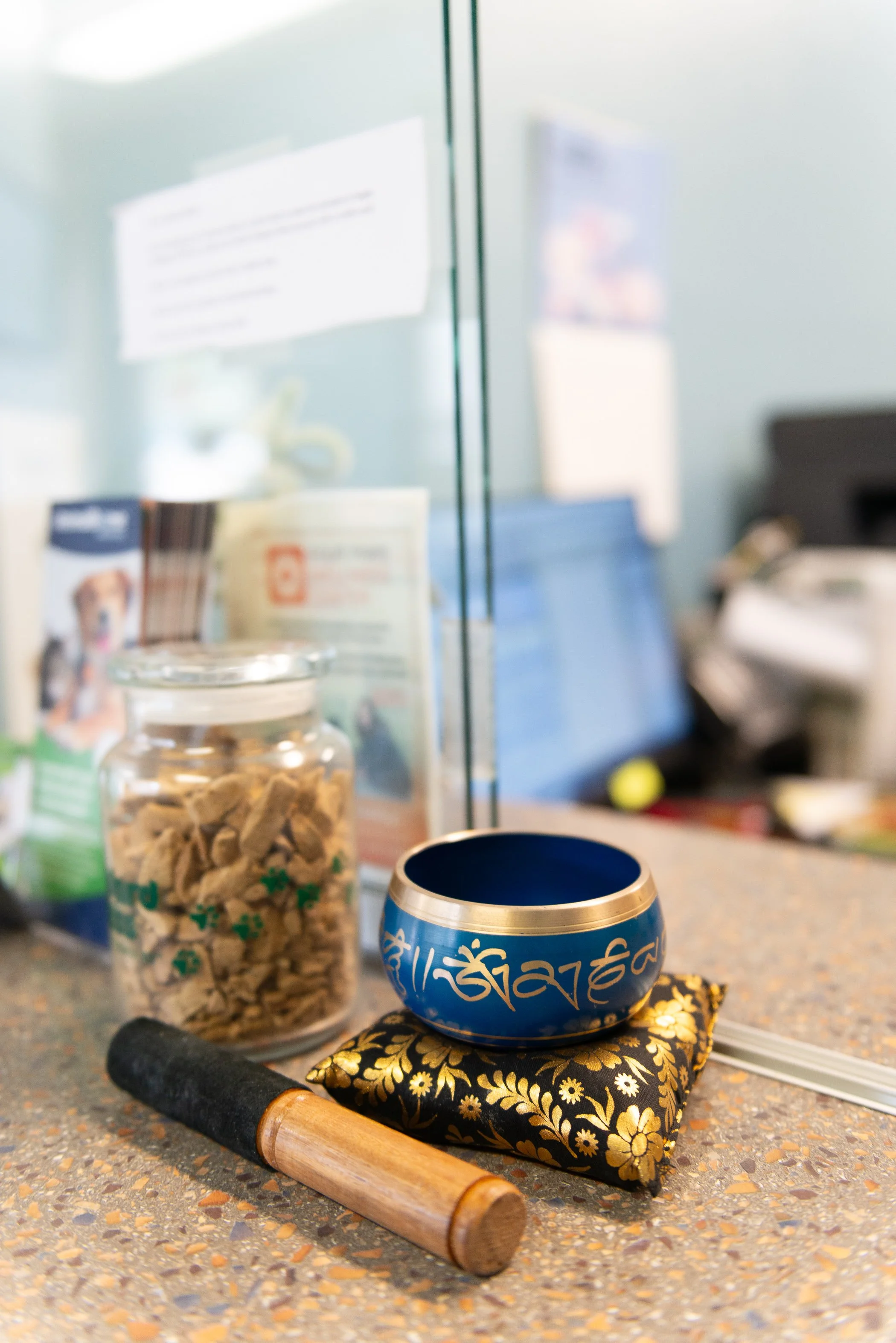 Four Paws Wellness_April 2025-87.jpg