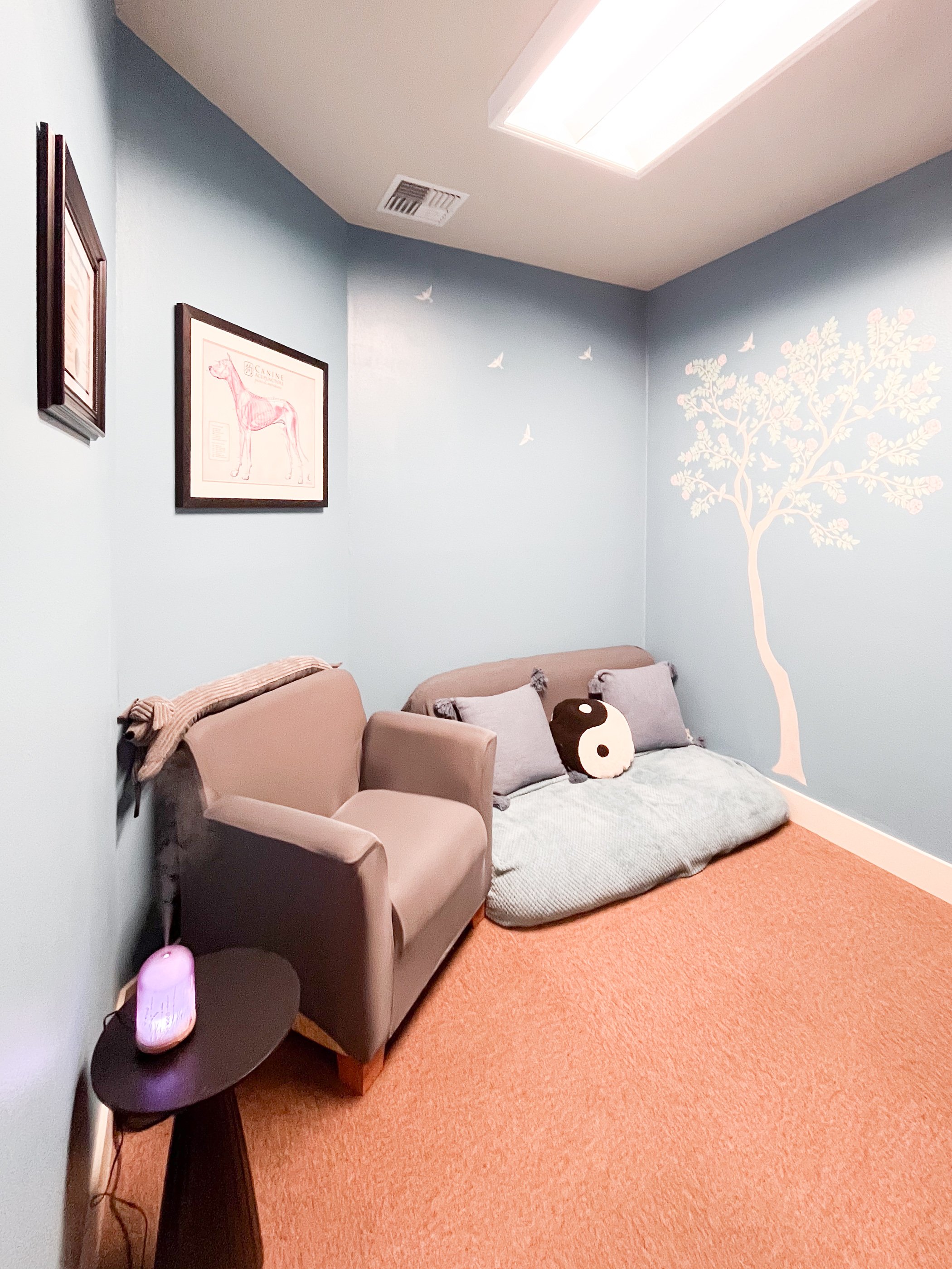 Four Paws Wellness_April 2025-100.jpg
