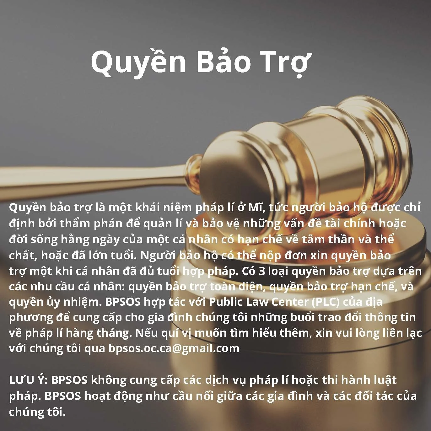 Conservatorship Quyền bảo trợ_Page_1.jpg