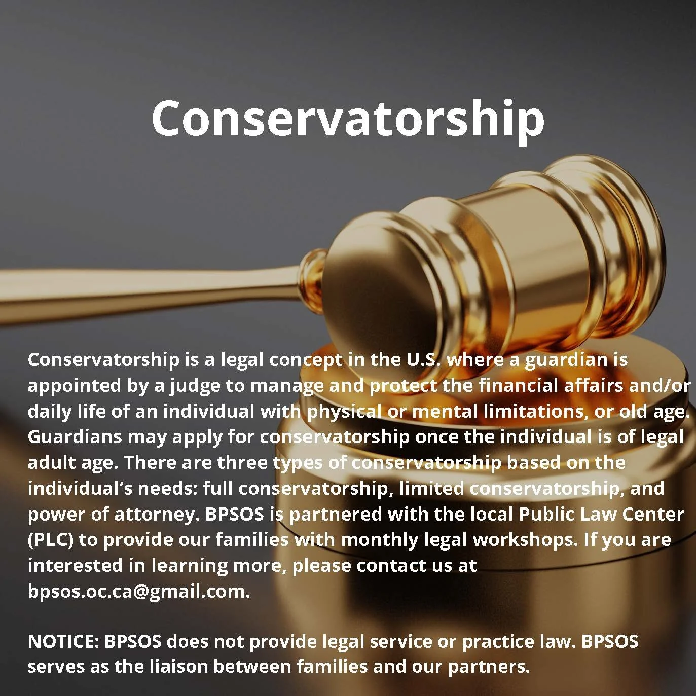 Conservatorship Quyền bảo trợ_Page_2.jpg