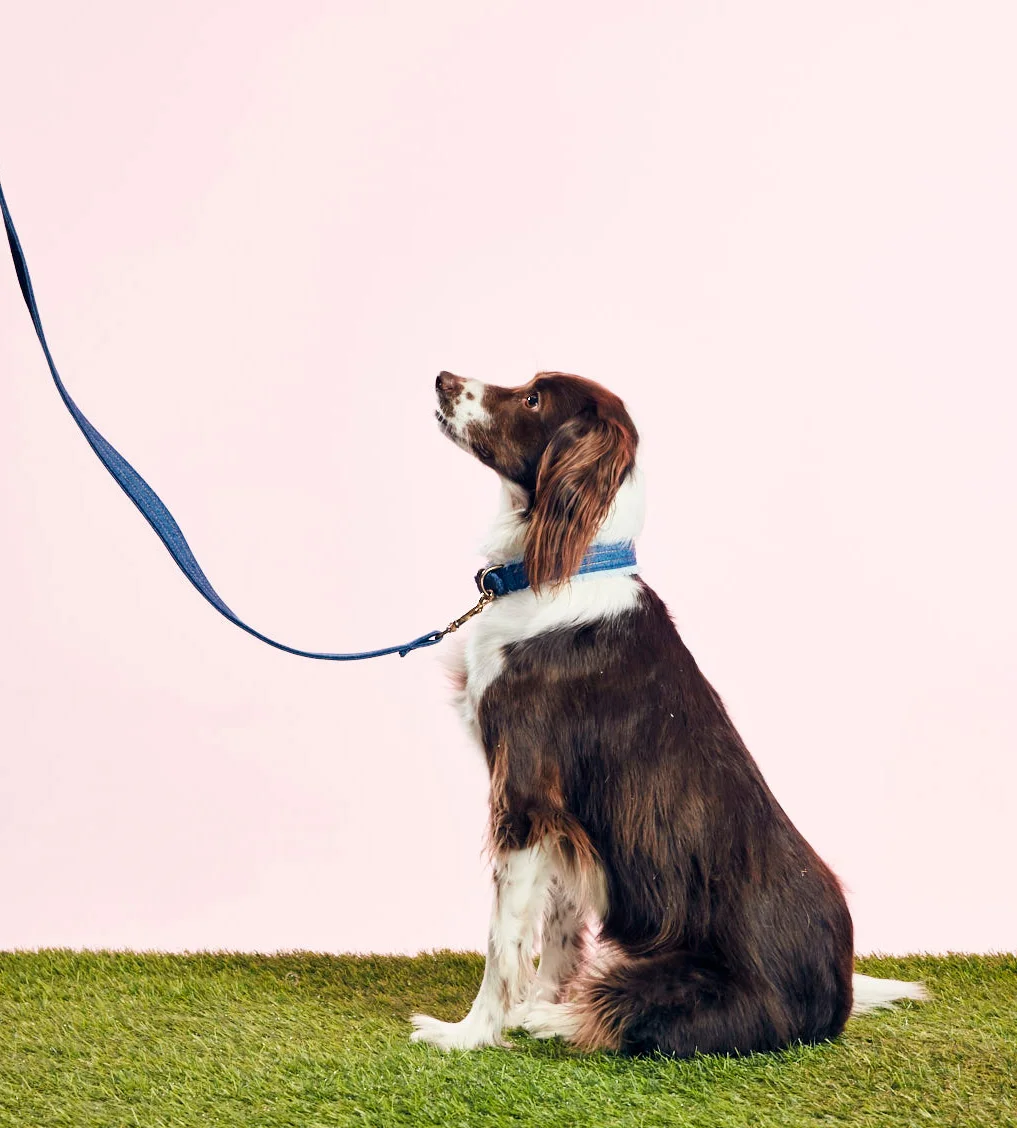 ARI & M - BLUE JEAN BABY COLLAR - GOODBOY