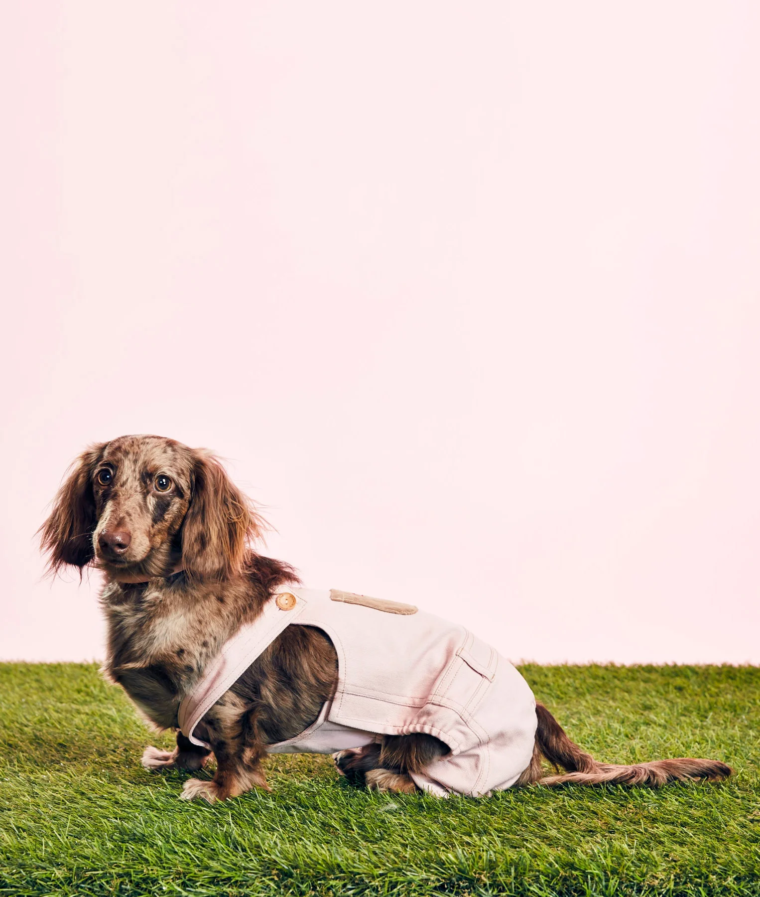 CHARLIE'S BACKYARD - PINK DENIM OVERALLS - GOODBOY