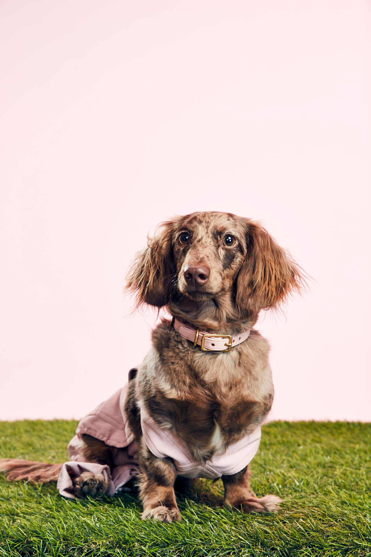 CHARLIE'S BACKYARD - PINK DENIM OVERALLS - GOODBOY