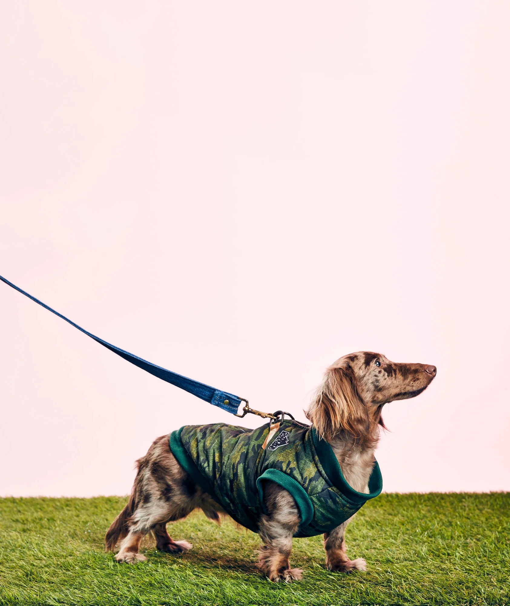 CHARLIE'S BACKYARD - CAMO HARNESS JACKET - GREEN - GOODBOY