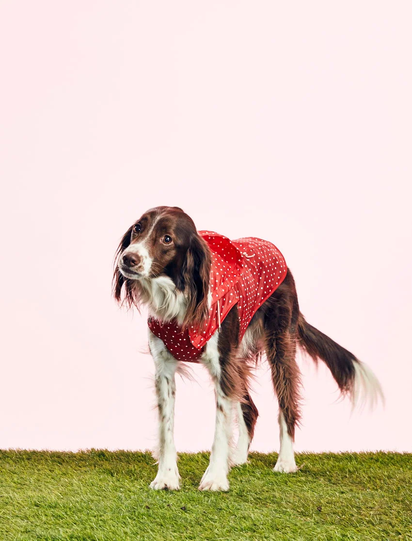 WARE OF THE DOG - POLKA DOT ANORAK RAINCOAT - RED - GOODBOY
