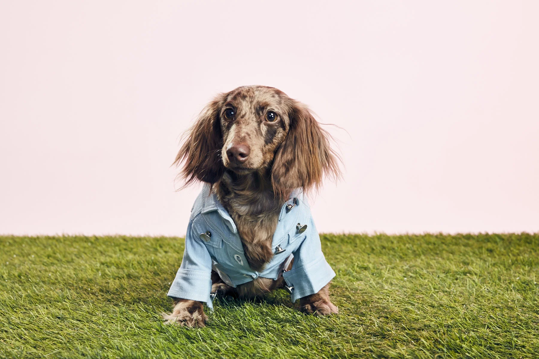 180420_GOODBOY-3738.jpg