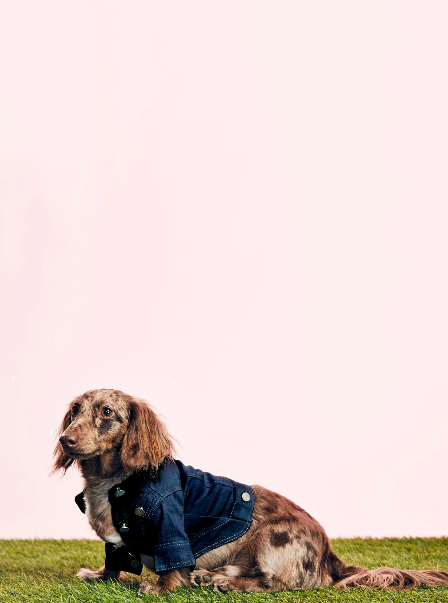 BARKER DENIM JACKET - DARK WASH - GOODBOY