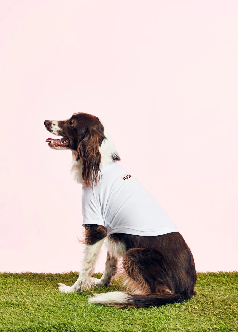 GOODBOY - THAT OG TEE