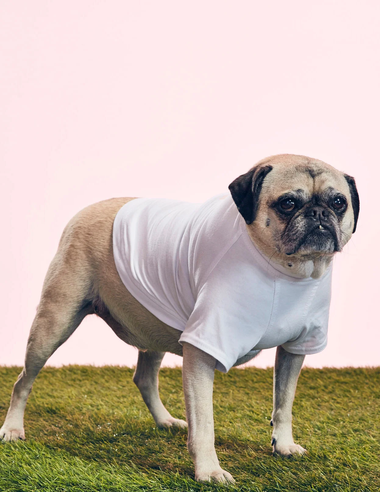 GOODBOY - THAT OG TEE