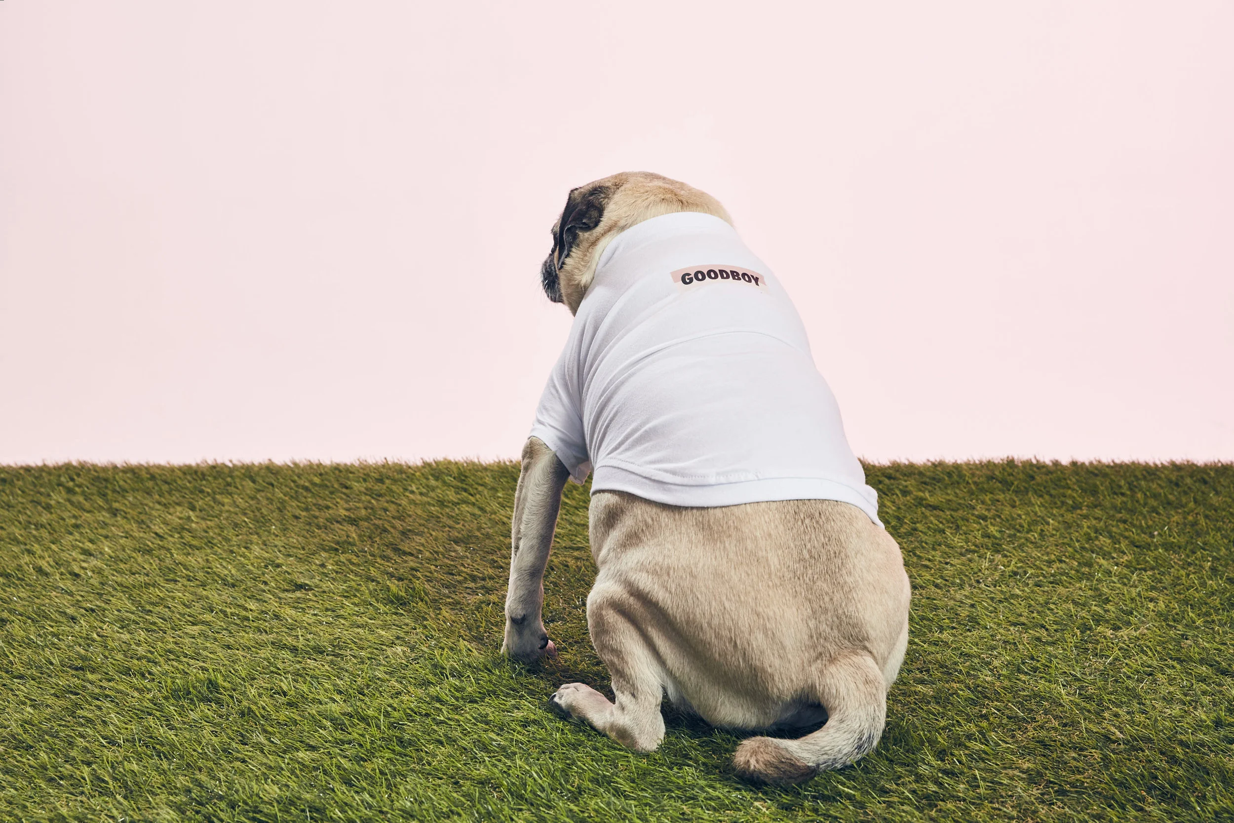 GOODBOY - THAT OG TEE