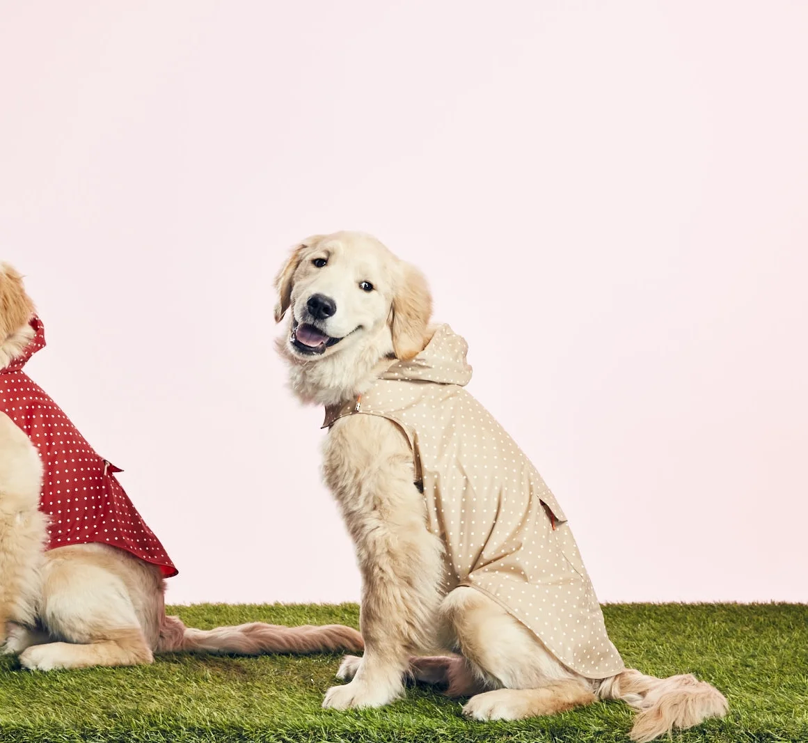 WARE OF THE DOG - POLKA DOT ANORAK RAINCOAT - TAN - GOODBOY