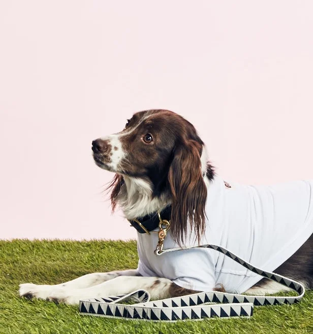 SEE SCOUT SLEEP - NICE GRILL COLLAR - BLACK - GOODBOY