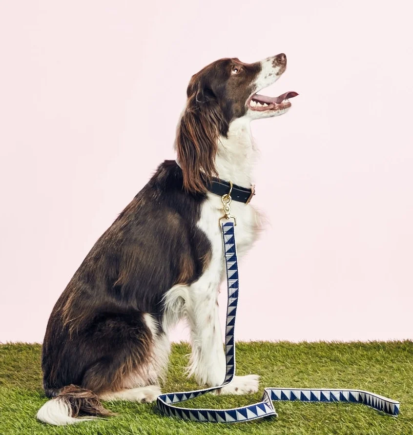 SEE SCOUT SLEEP - NICE GRILL LEASH - NAVY - GOODBOY