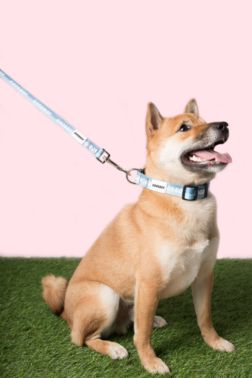 milo_goodboyleash_side.png