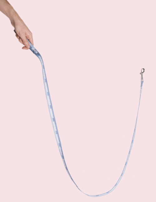 goodboy_goodboyleash_cropped.png