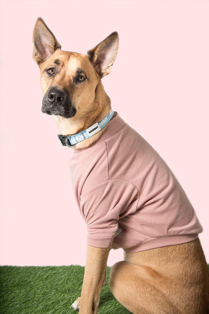 DOG THREADS - KIMMY TURTLENECK - ROSE GOODBOY