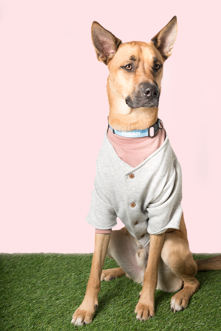 DOG THREADS - KIMMY TURTLENECK - ROSE GOODBOY