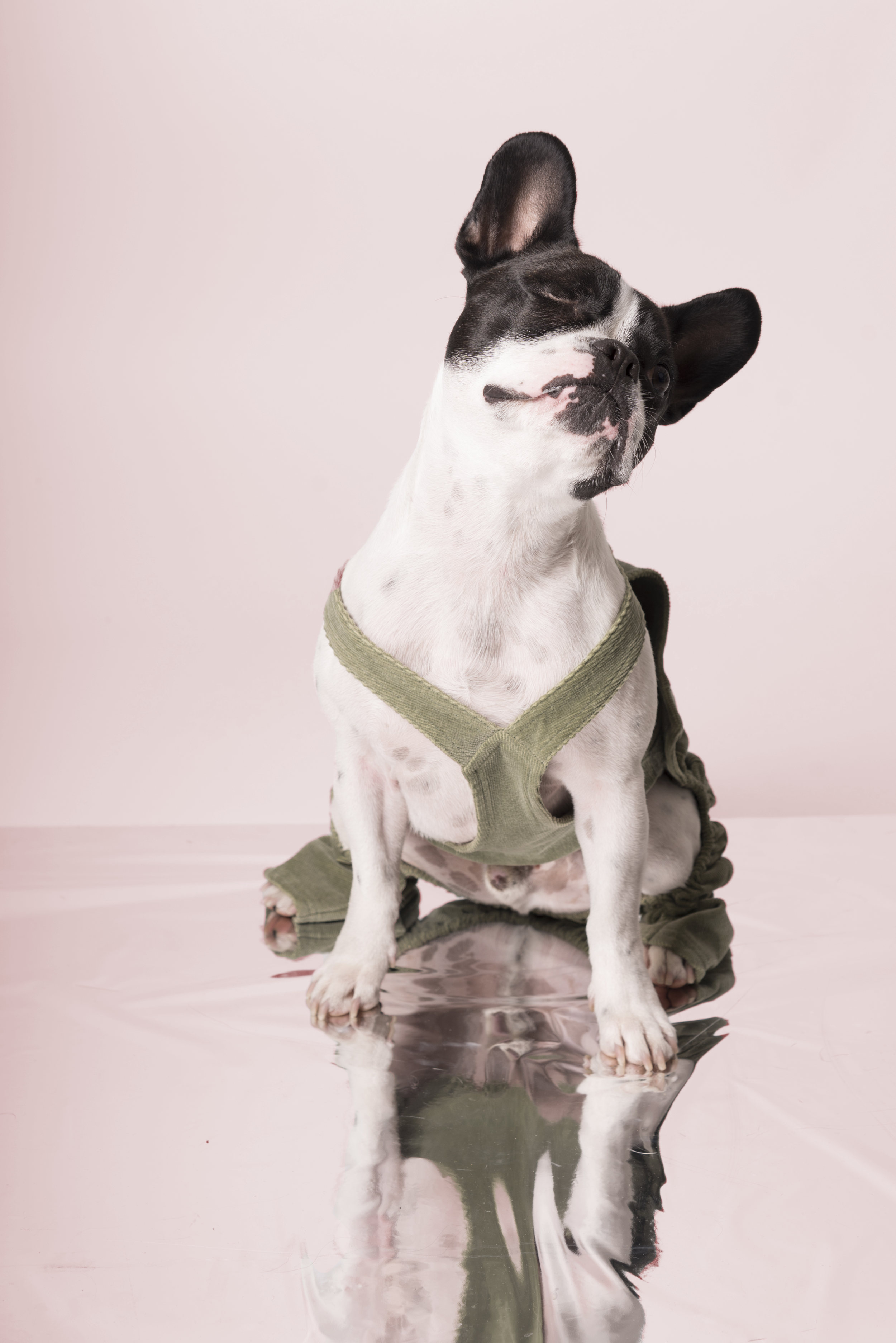 eddie-charliesbackyard-corduroyoveralls-front.png