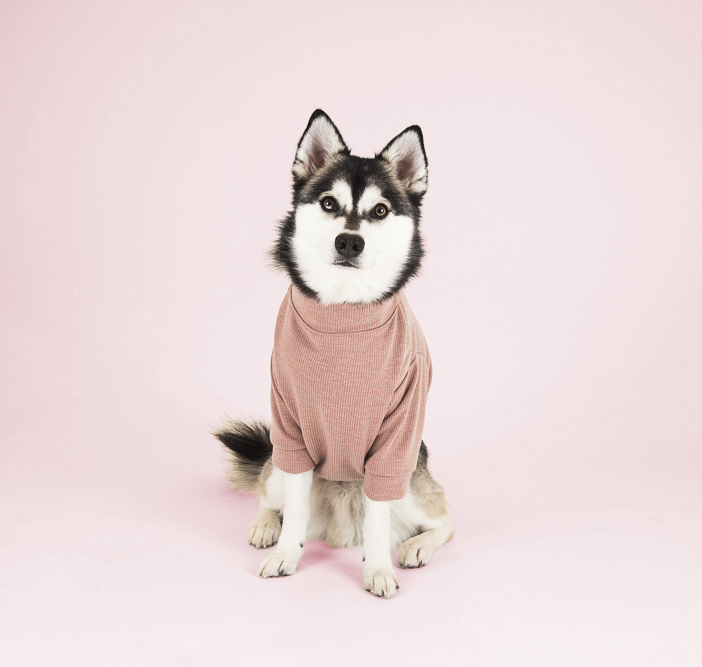 kai-dogthreads-kimmyturtleneck-rose-front.png