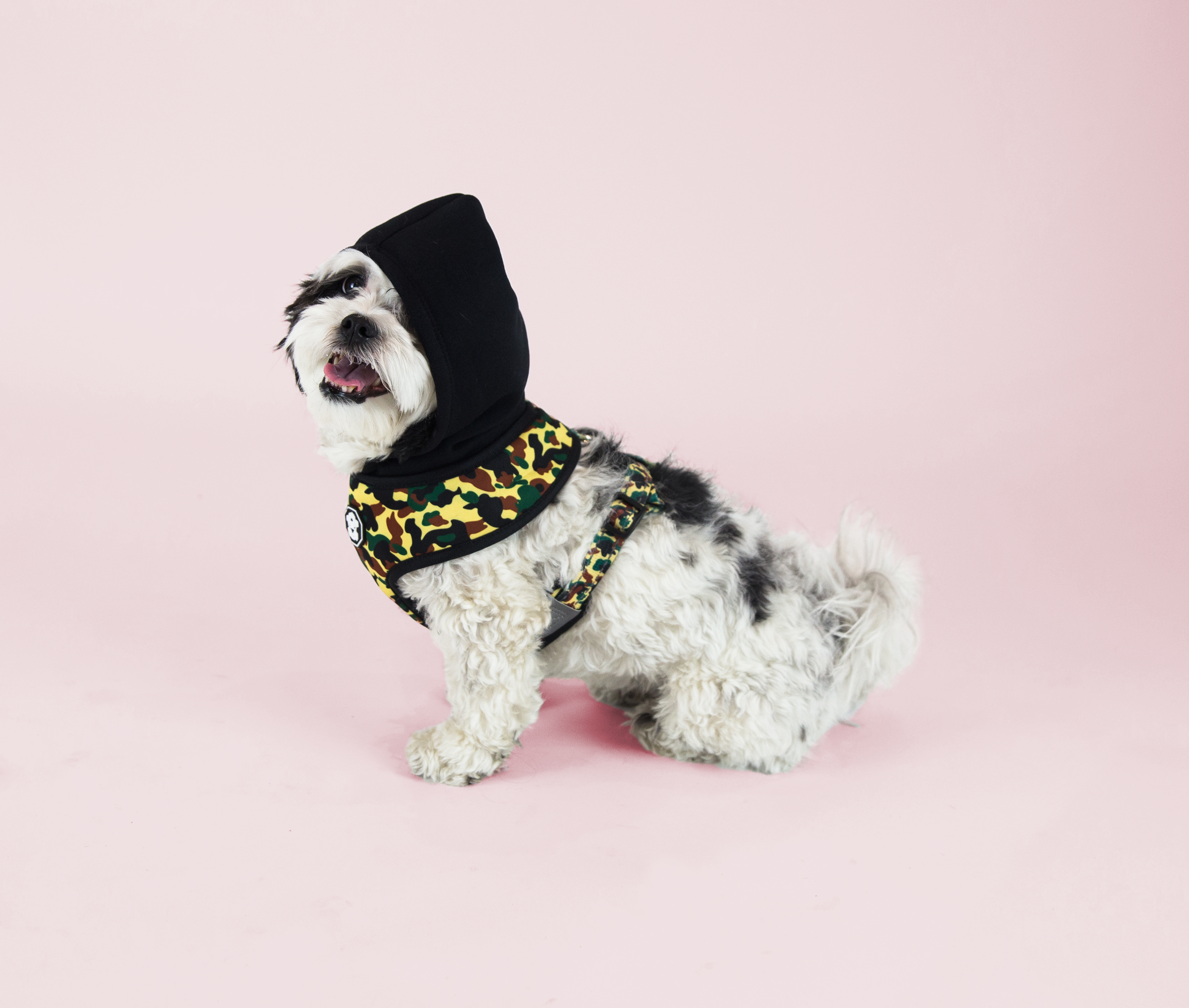 Snoopy-10.png