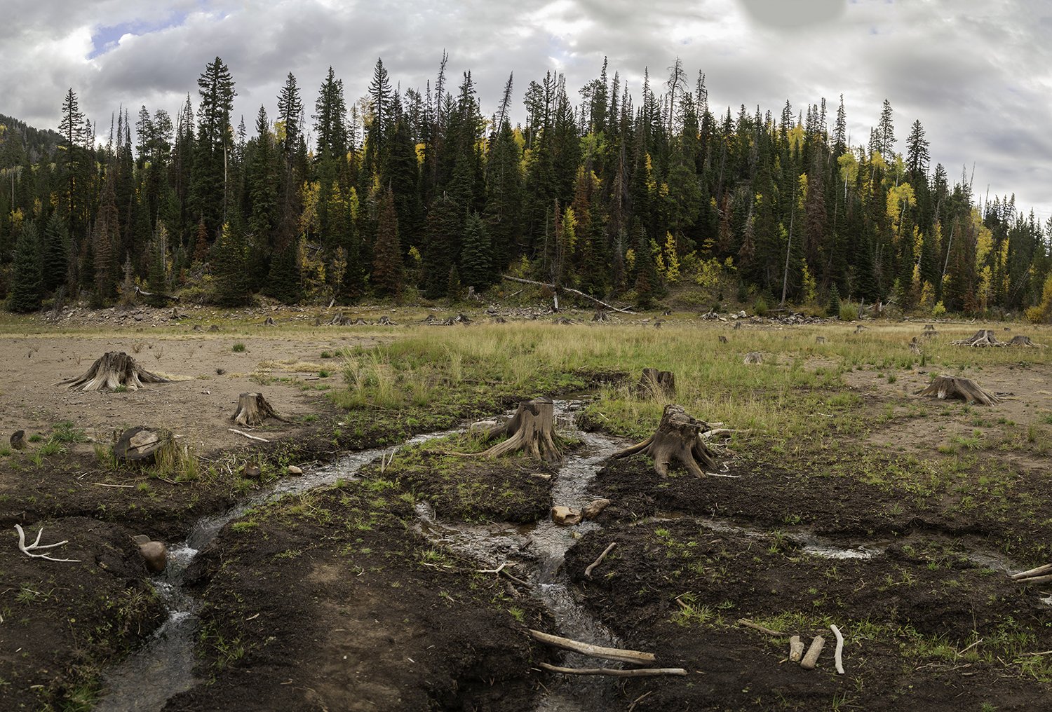 Man Altered Landscape.jpg