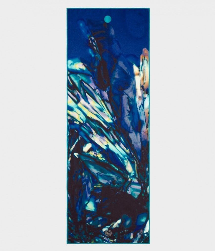 yogitoes-dragonfly.jpg