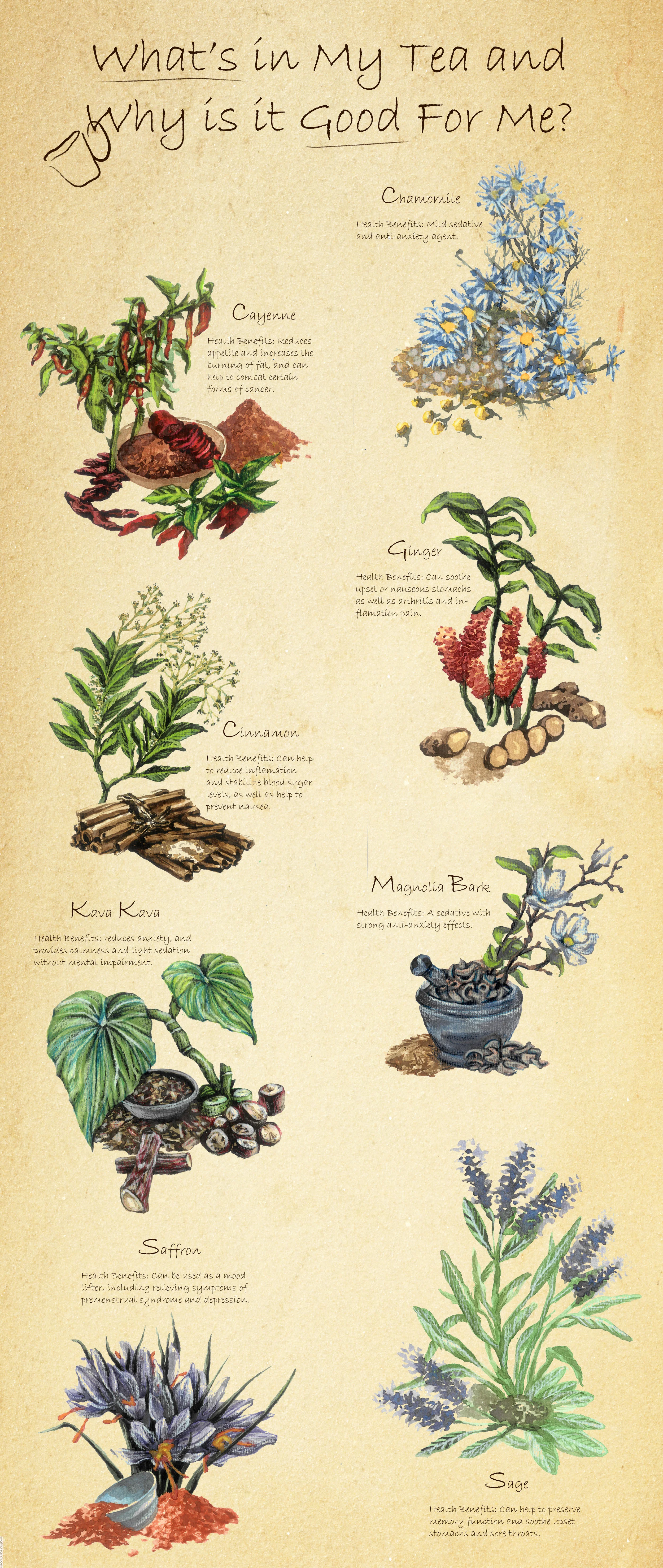 What's in my Tea and Why is it Good For Me?