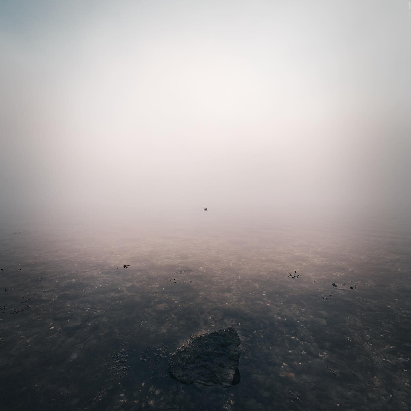 The moody morning fog at Martha&rsquo;s Vinyard&hellip; #edgartown #marthasvineyard #storm #henri #MA #photography #landscapephotography #travel #beautiful #vineyard #ocean #boat #fog #duck