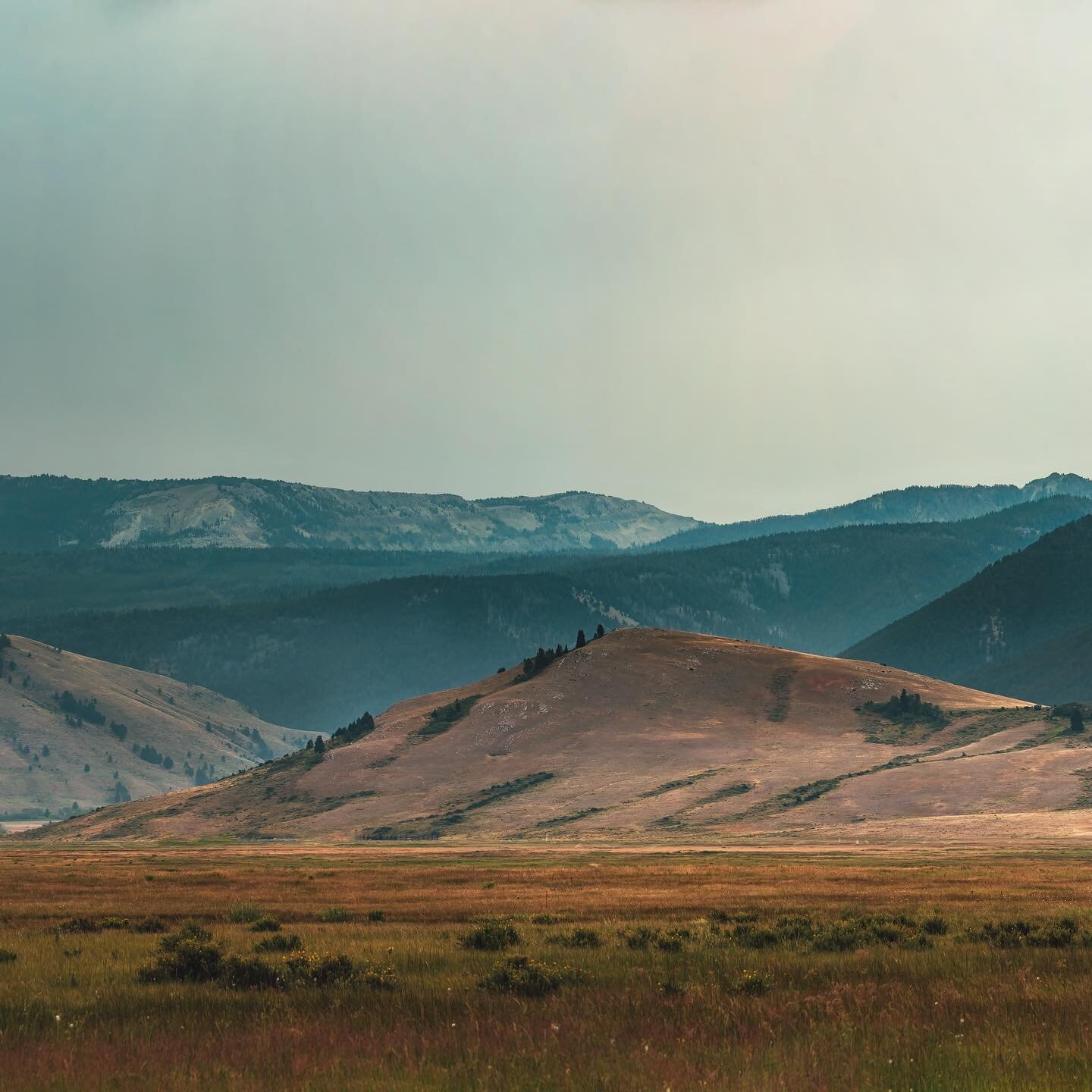 The Jackson Hole Wyoming countryside in it&rsquo;s serene glory&hellip; #wyoming #jacksonhole #landscapephotograpy #photography #landscapes #travel #beautiful #mylens