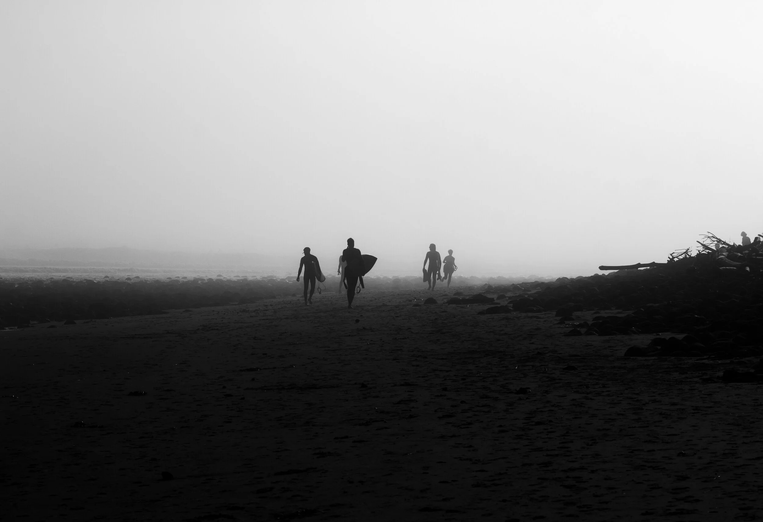 0V8A6684-2.JPG