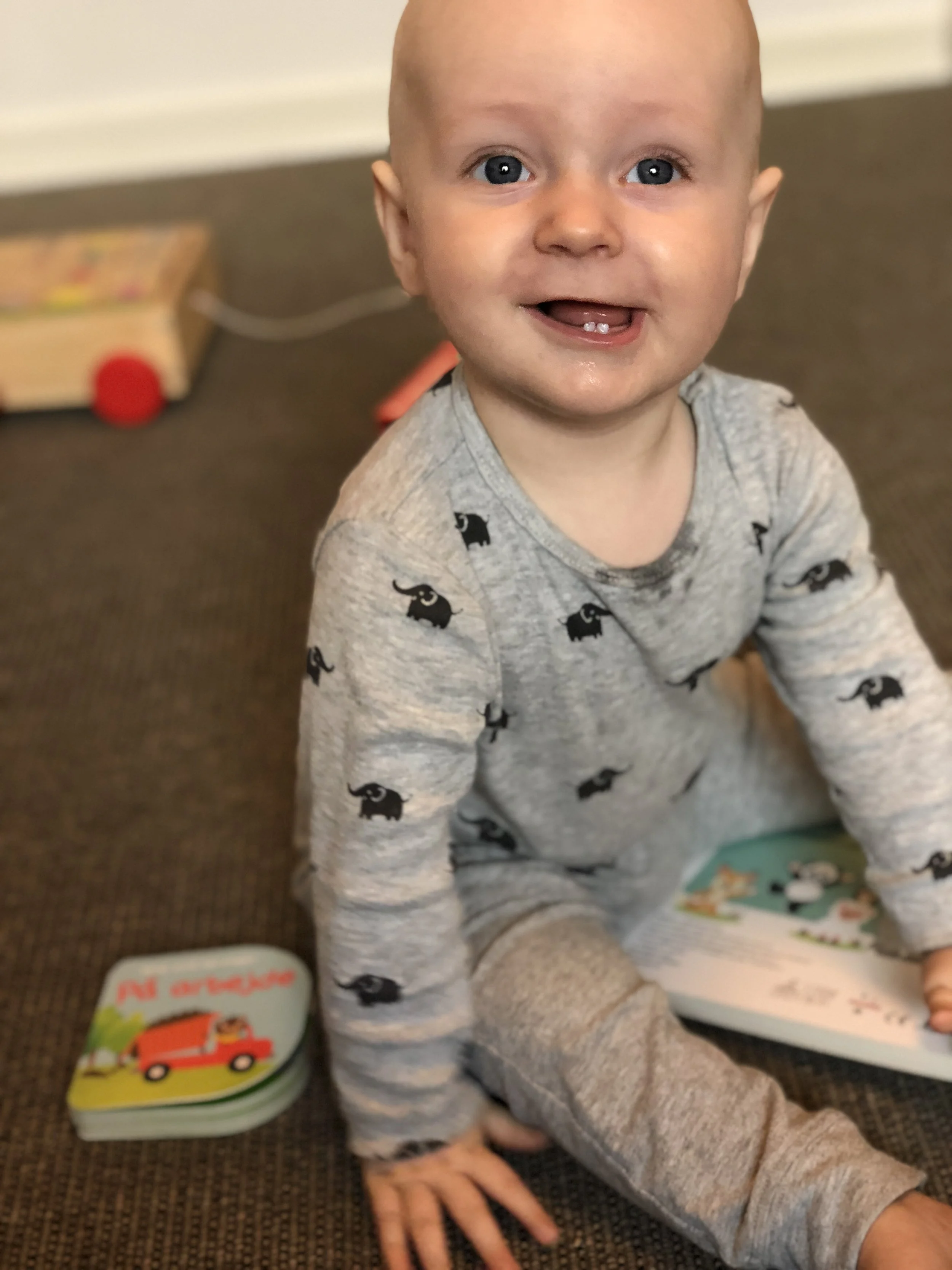 image1.jpeg