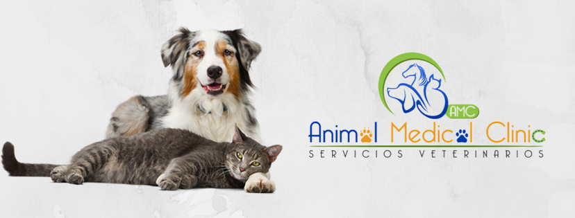 New FB Cover.png