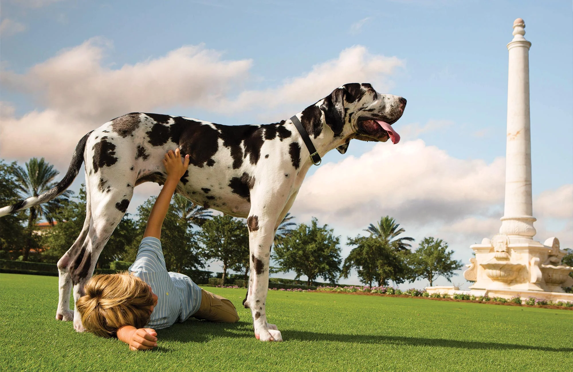 TAL_04_GreatLawn.jpg