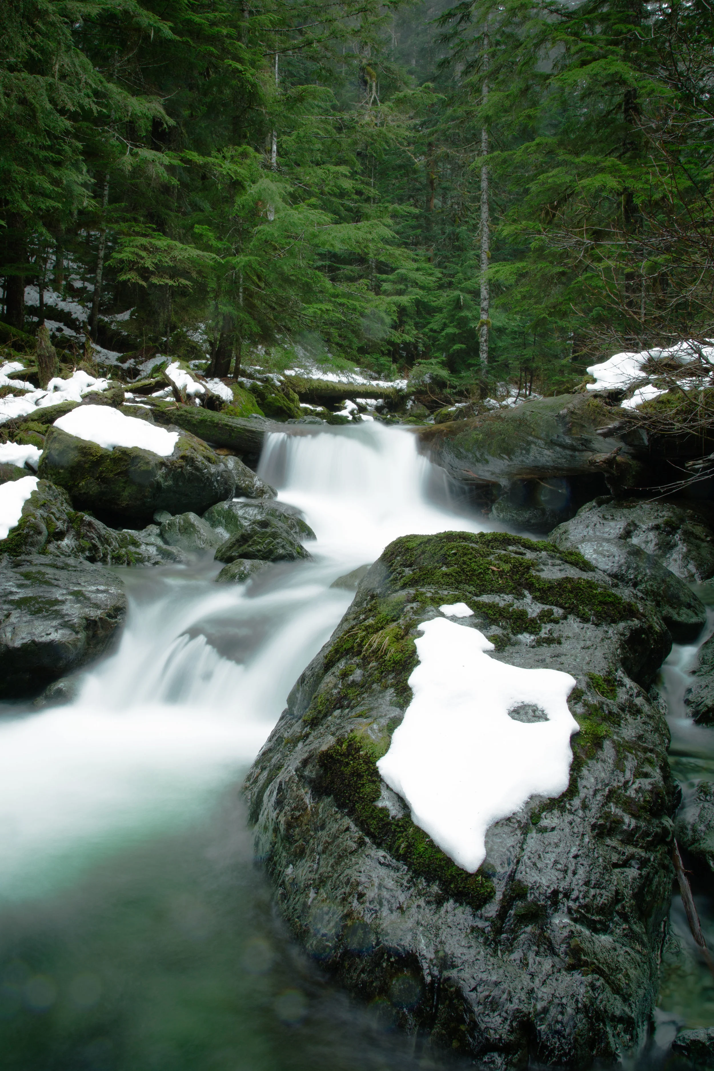 Snow on rock.jpg