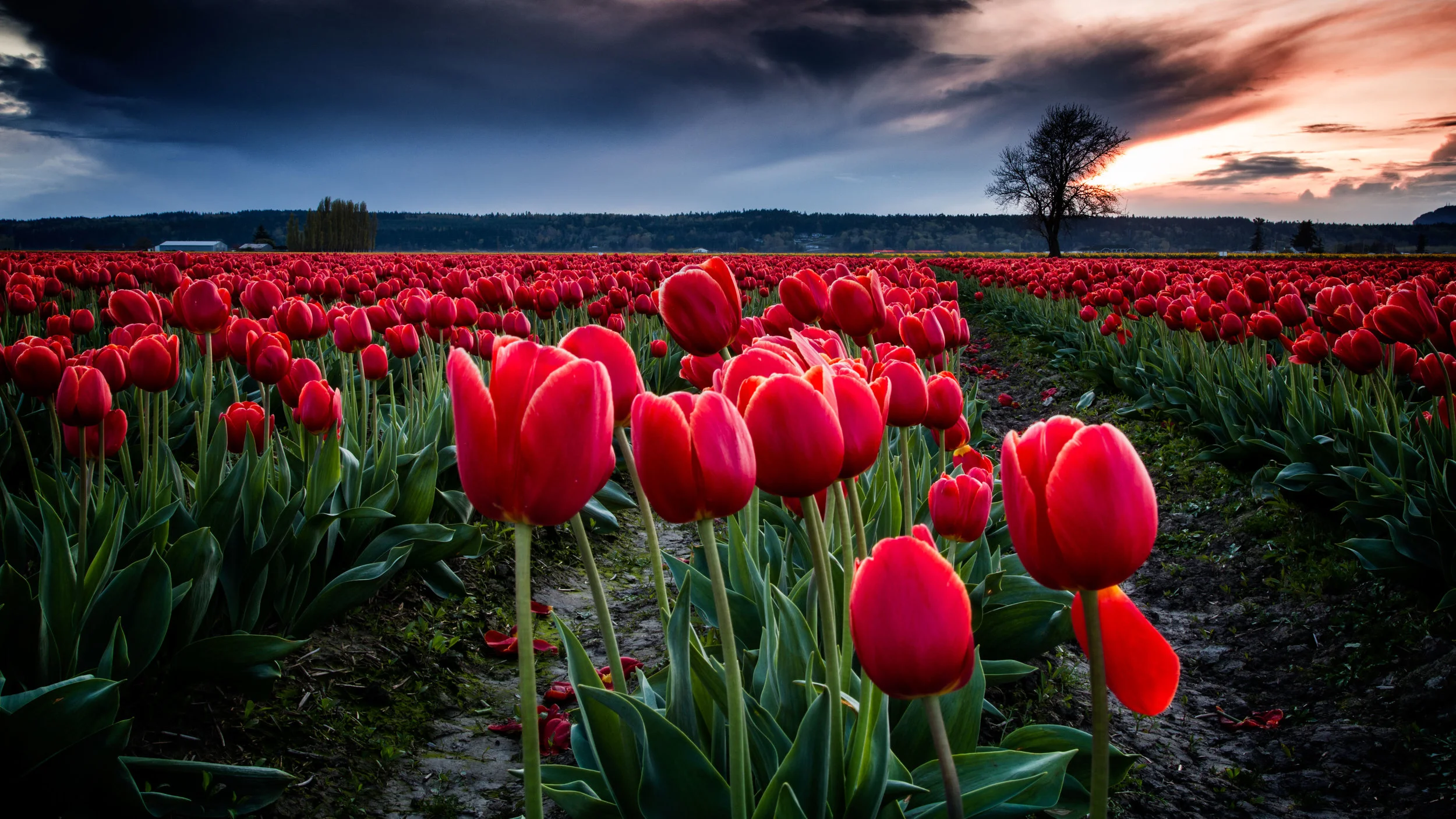 T27A4588-Edit-Edit.jpg