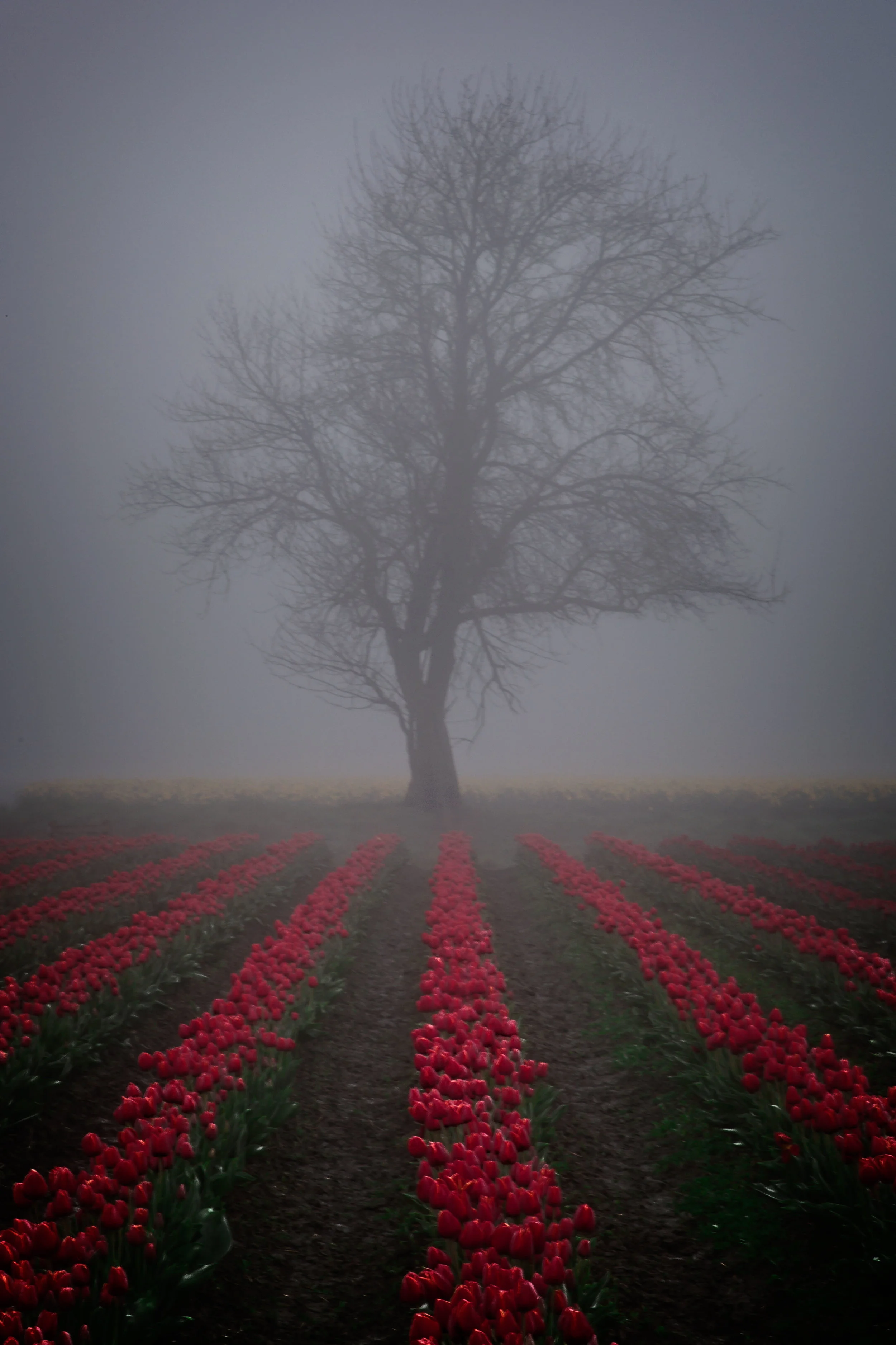 T27A4394-Edit.jpg