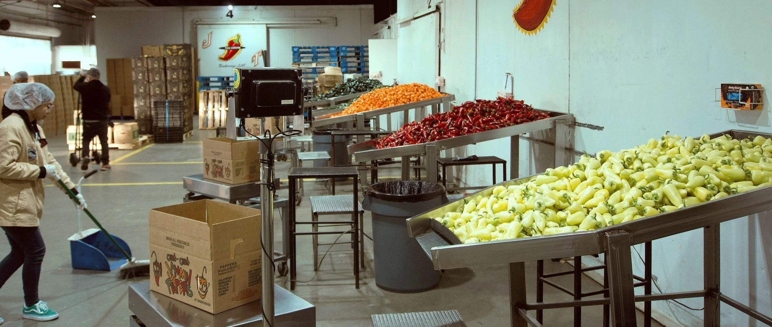 Main Page Picture.jpg