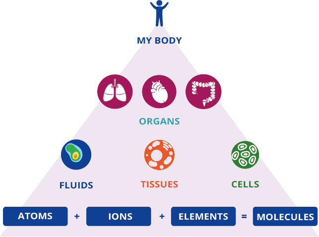 QW O PYRAMID BODY.png