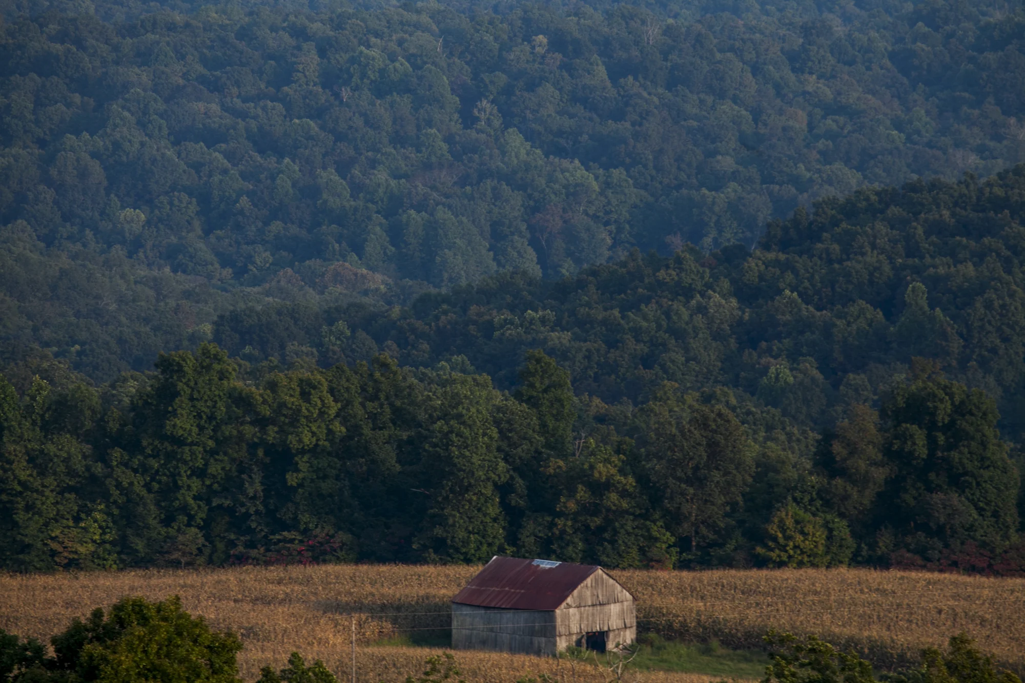 2013.09.18_ todd county _lemon-550.jpg
