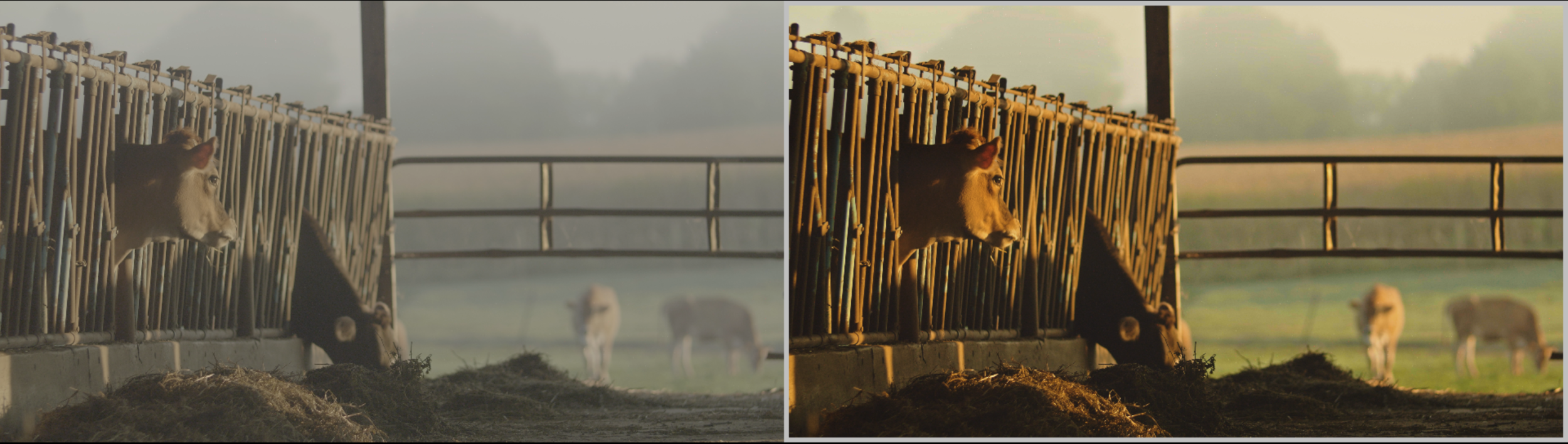 Ungraded V-Log left; Graded 10 bit RAW right. Captured on Panasonic GH4, graded in DaVinci Resolve.