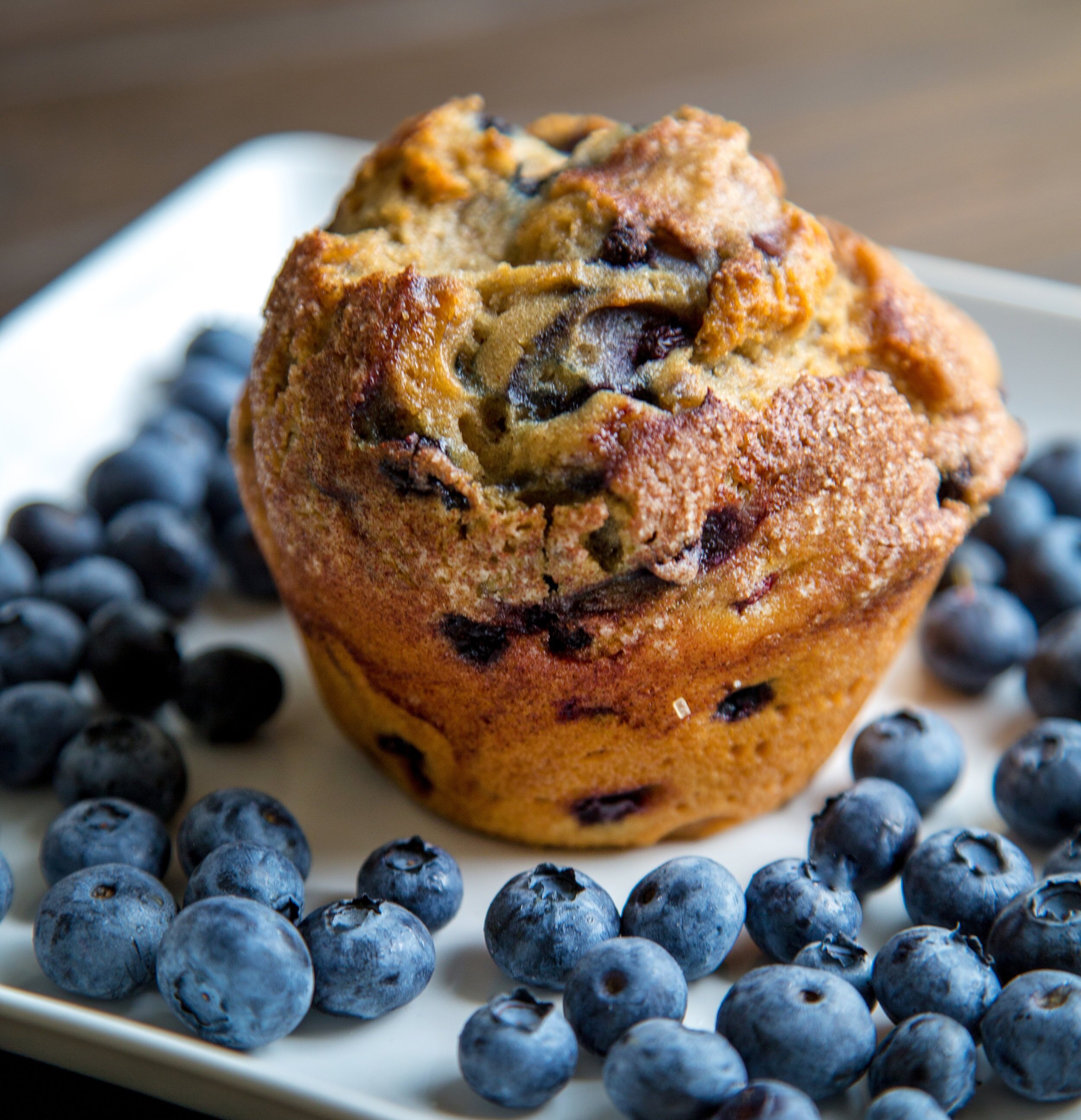 CONTACT — Wildflours GlutenFree Bakery Maine's Original GF Bakery