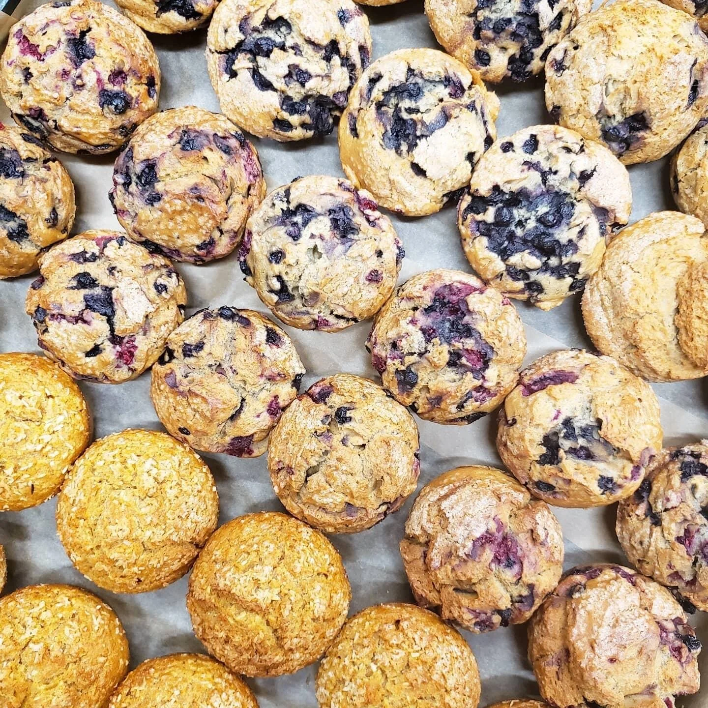 Special Occasions — Wildflours GlutenFree Bakery Maine's Original GF