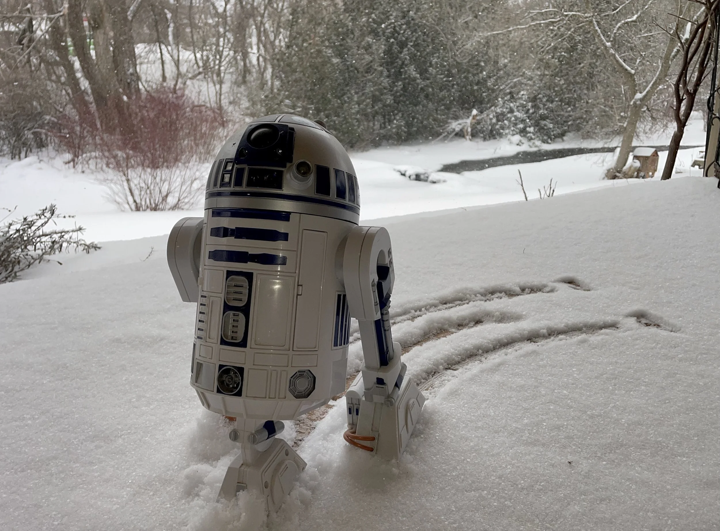 r2D2.jpg