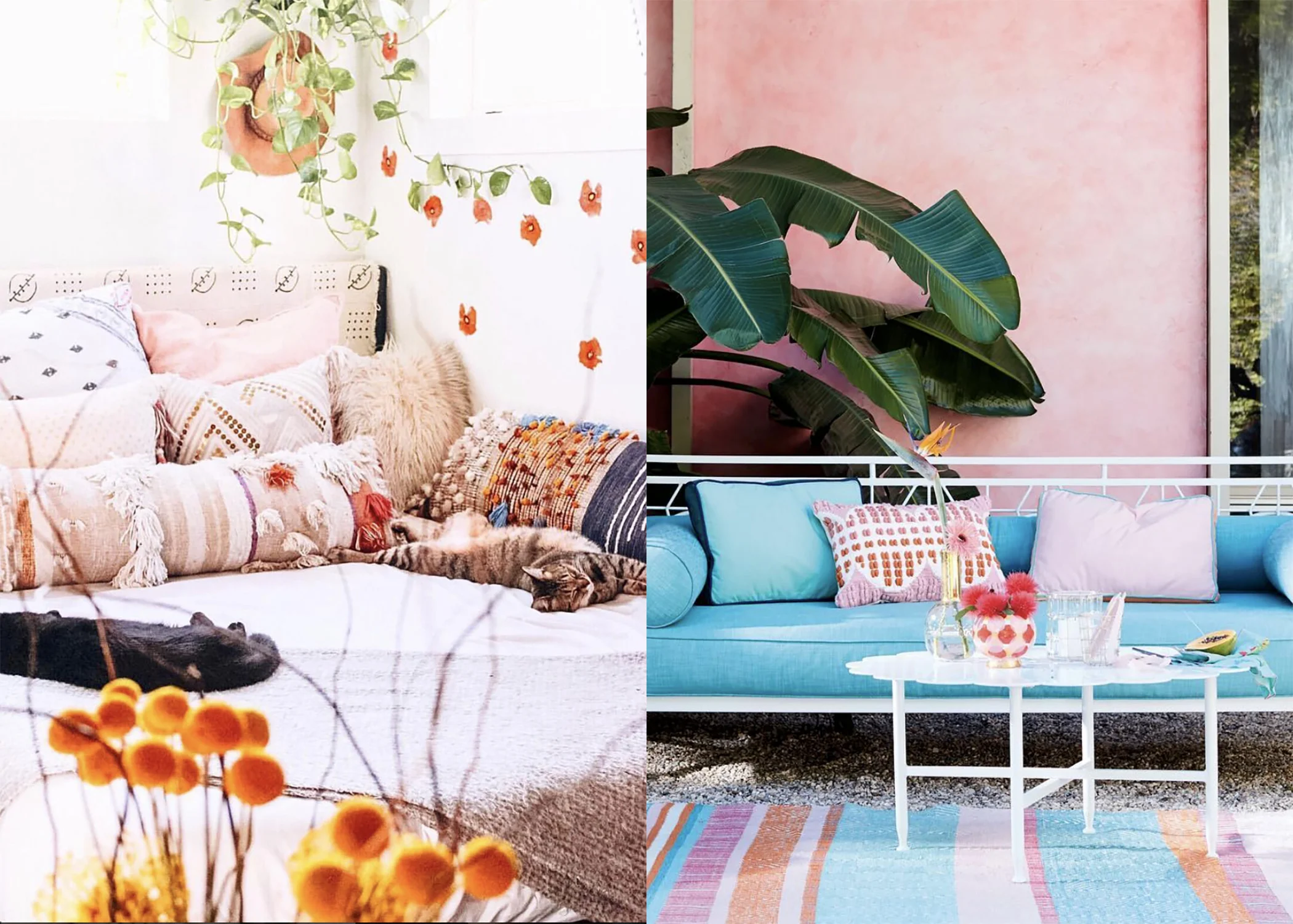 Photos via Anthropologie .