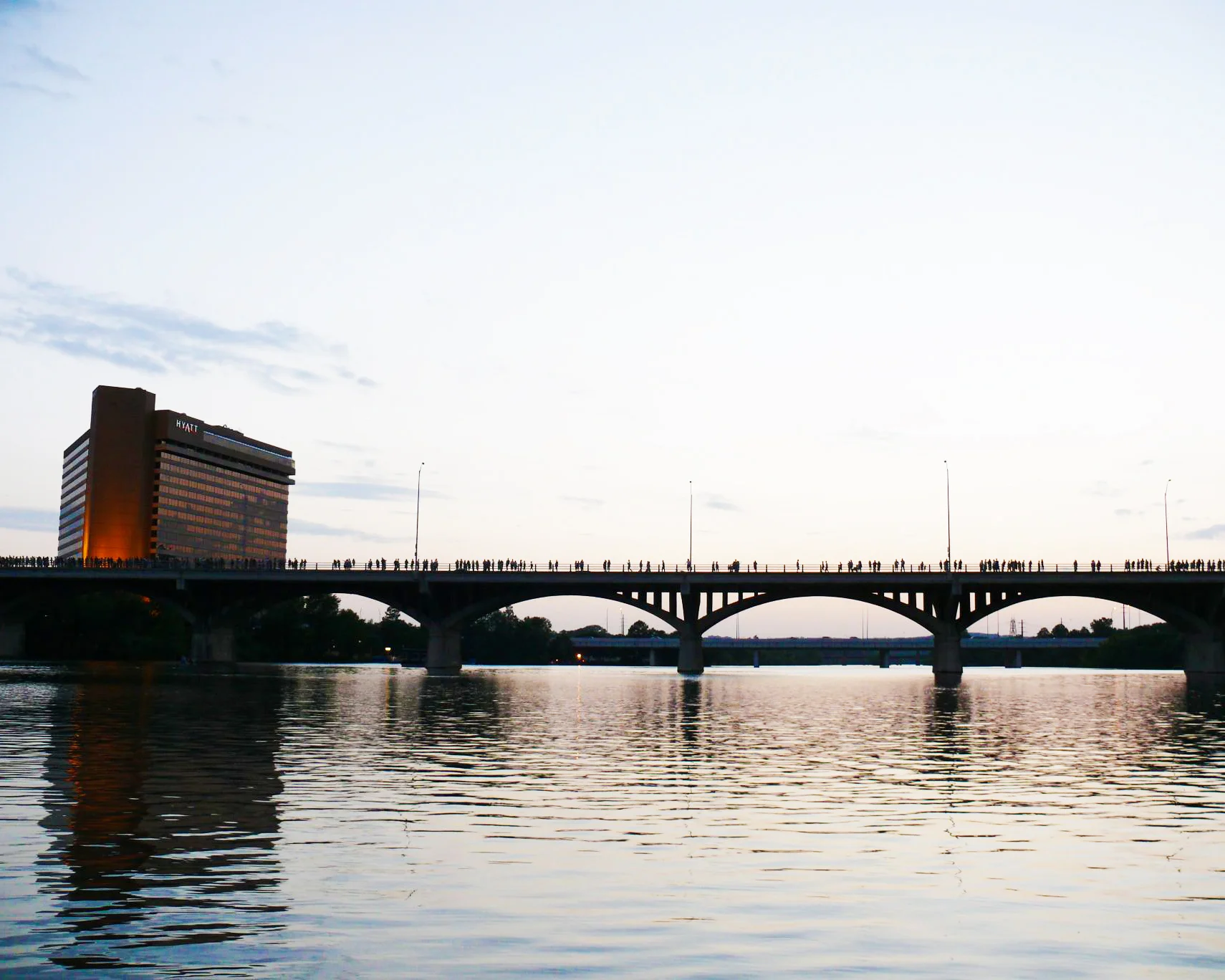 Austin_-_bats_watching_1.jpg