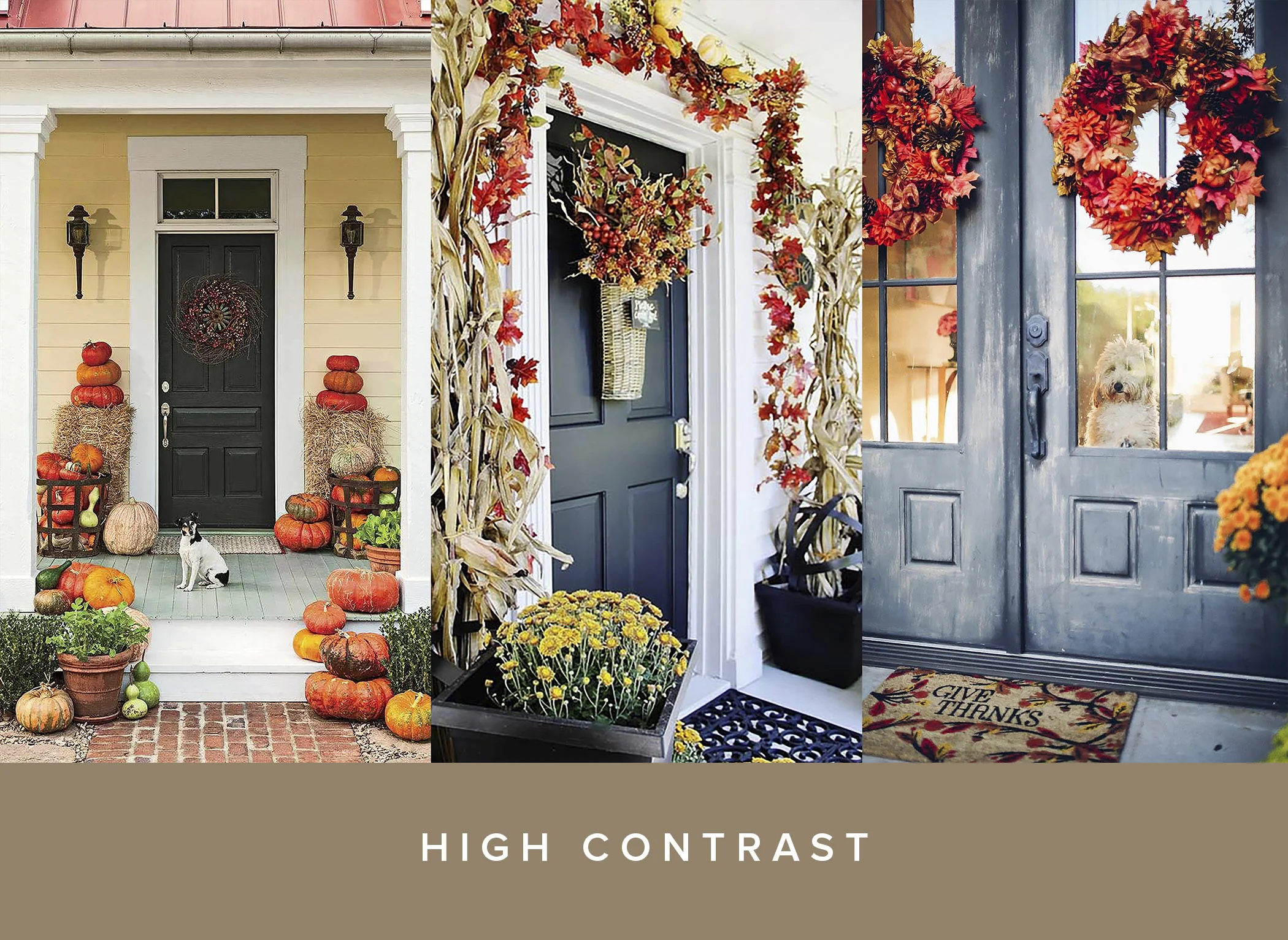 High Contrast front door pumpkin inspiration .jpg