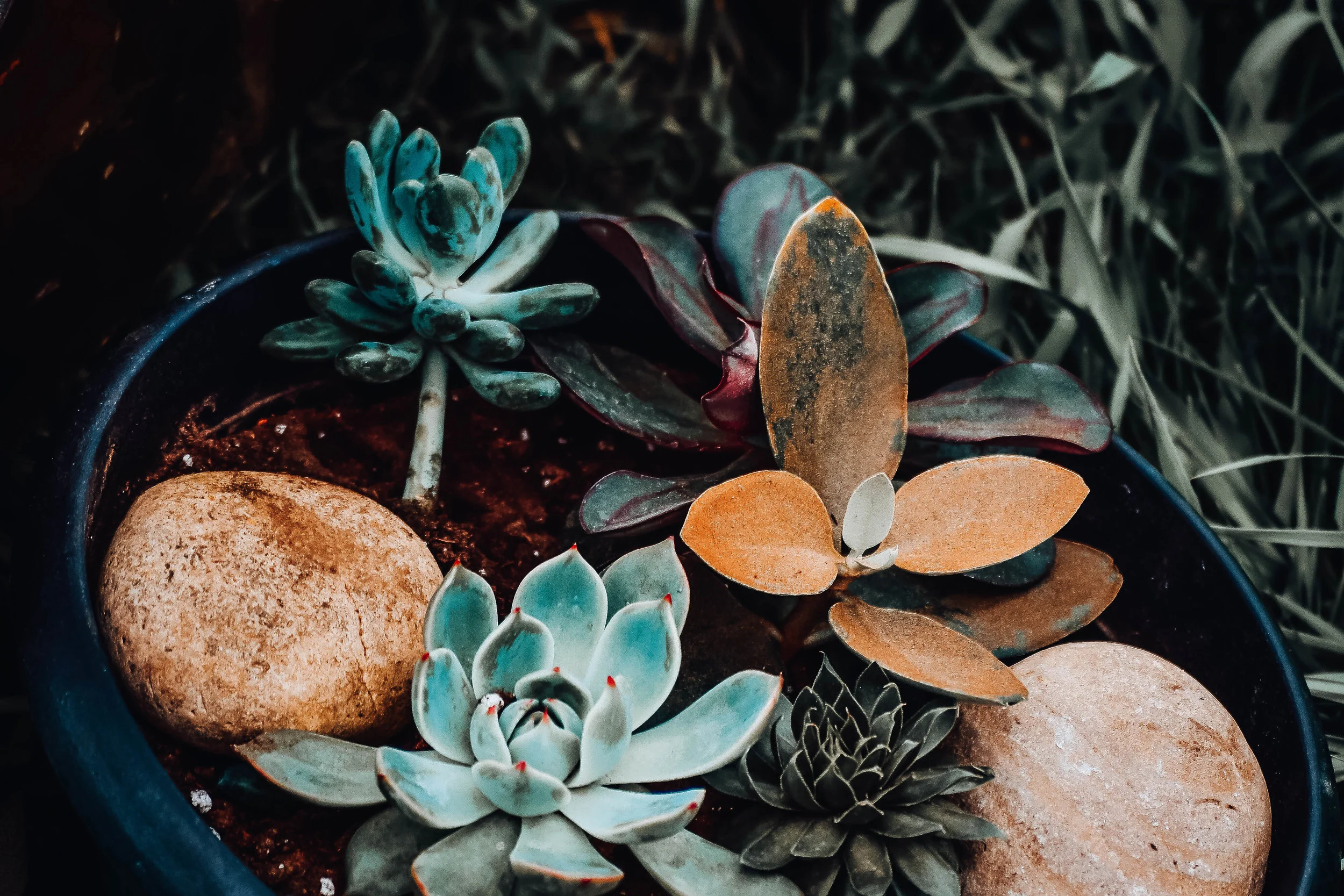 Landscaping 1-2.jpg